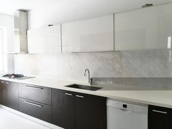 Shamrock Park (D10), Terrace #153498622